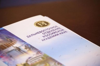 Представительство ДВО РАН откроют в Хабаровске Пресс-служба правительства Хабаровского края
